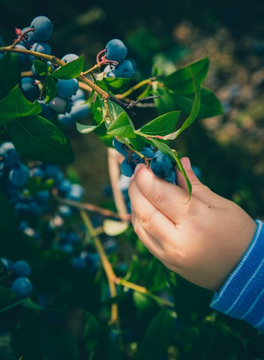 markus-spiske-jHrW-l7NWfw-unsplash