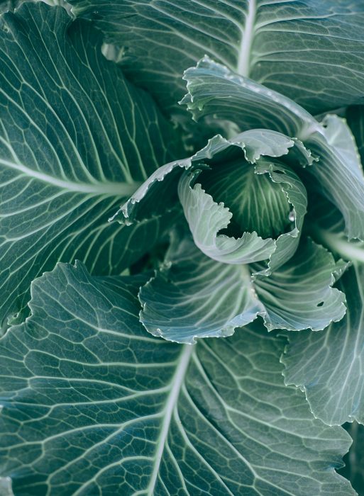 pexels-maria-orlova-4947354